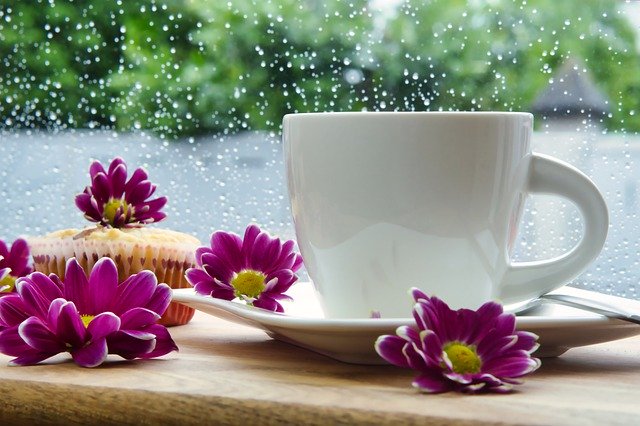 主旨：	近日各地天氣炎熱，部分地區午後偶有雷陣雨，請持續落實登革熱等蚊媒傳染病相關防疫措施，並務必配合當地衛生單位查核及防治工作，以保障教職員工生及社區民眾之健康，請查照。