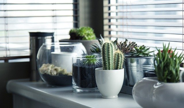 轉知:教育部辦理「數位/網路性別暴力防治短影音暨海報繪畫比賽」