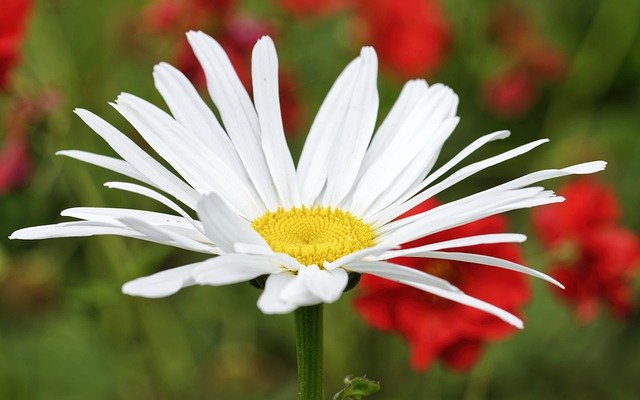 113年3月菜單更正公告