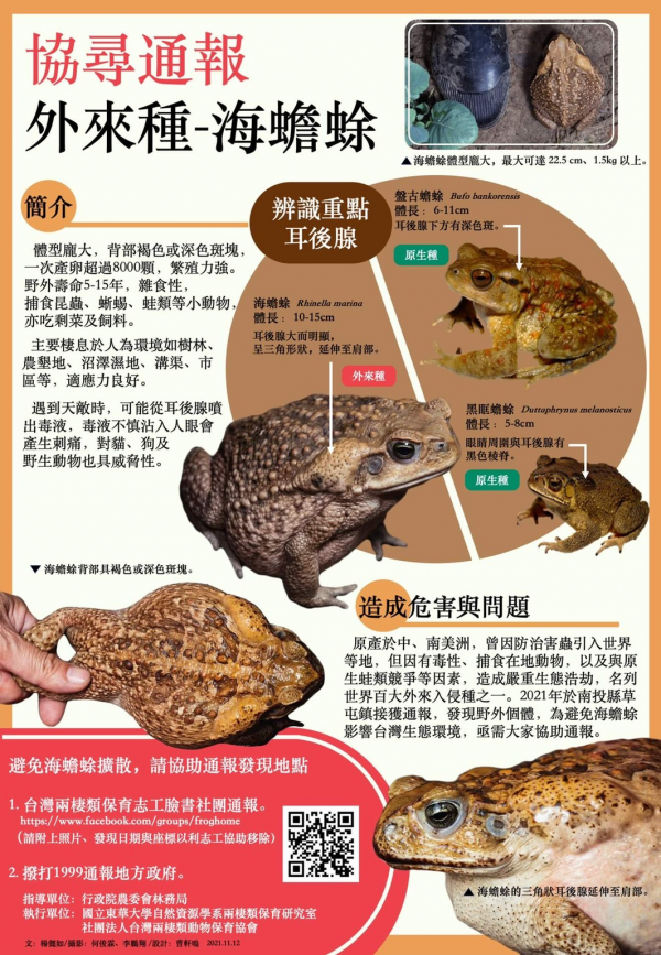 主旨：檢送外來入侵種海蟾蜍電子摺頁一份，請協助廣為宣導週知，請查照