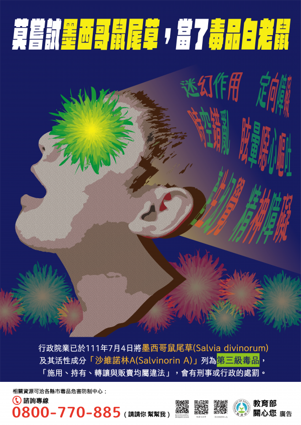 防制學生藥物濫用「莫嘗試墨西哥鼠尾草」